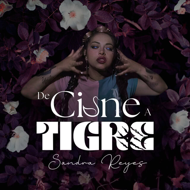 De Cisne a Tigre