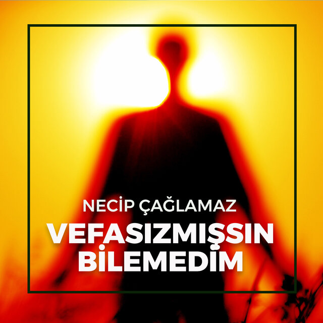 Vefasızmışsın Bilemedim
