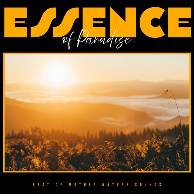 Essence of Paradise