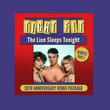 The Lion Sleeps Tonight (Jose Jimenez Radio Edit)