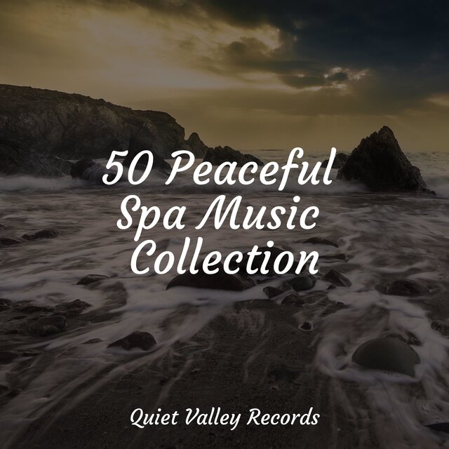 50 Peaceful Spa Music Collection