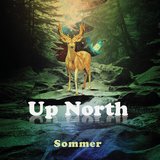 Northern Lights