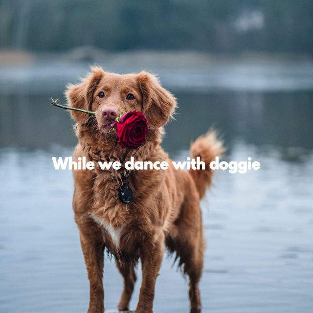 While we dance with doggie
