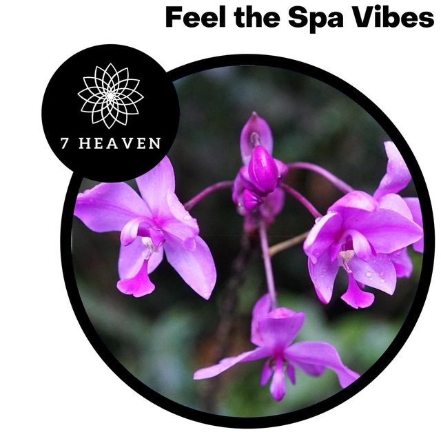 Feel The Spa Vibes
