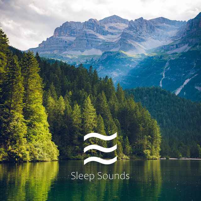 Looped Sounds of Sleeep Soft White Noises Lullabies