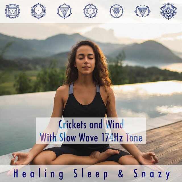 Crickets and Wind with Slow Wave 174hz Tone