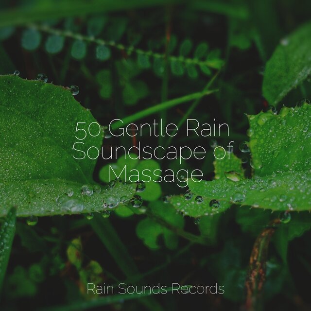 50 Gentle Rain Soundscape of Massage