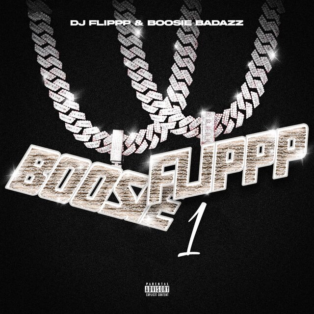 BoosieFlippp 1