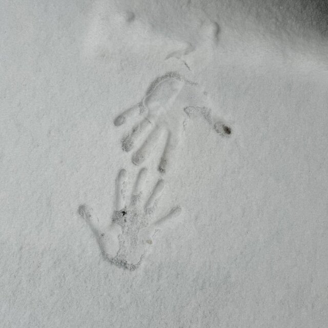 В голове
