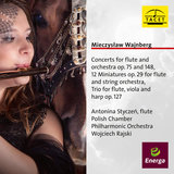 Flute Concerto No. 1, Op. 75 - I. Allegro