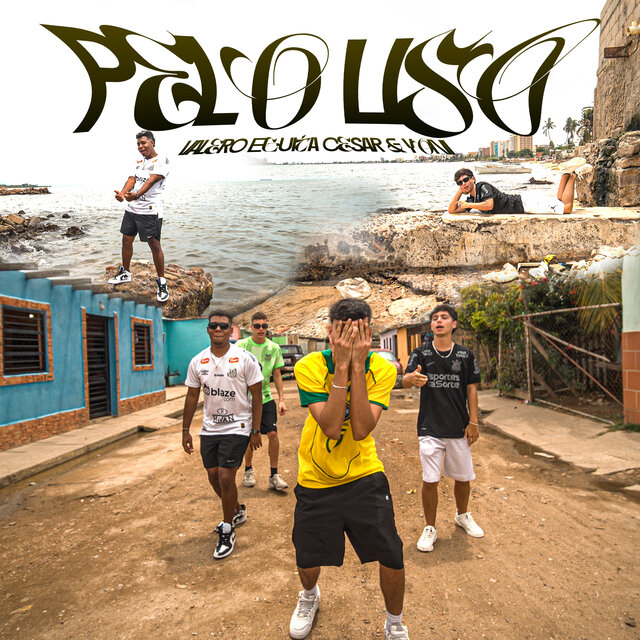 PELO LISO
