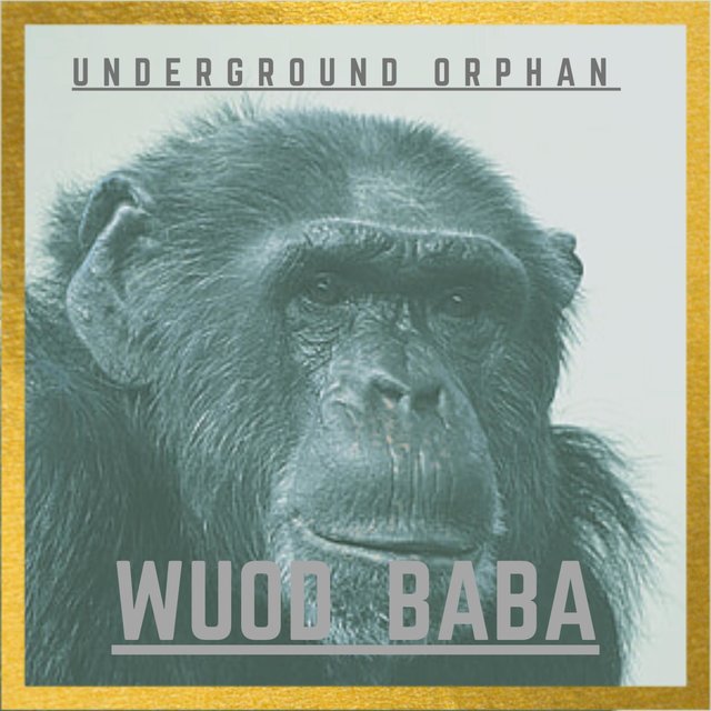 UNDERGROUND ORPHAN