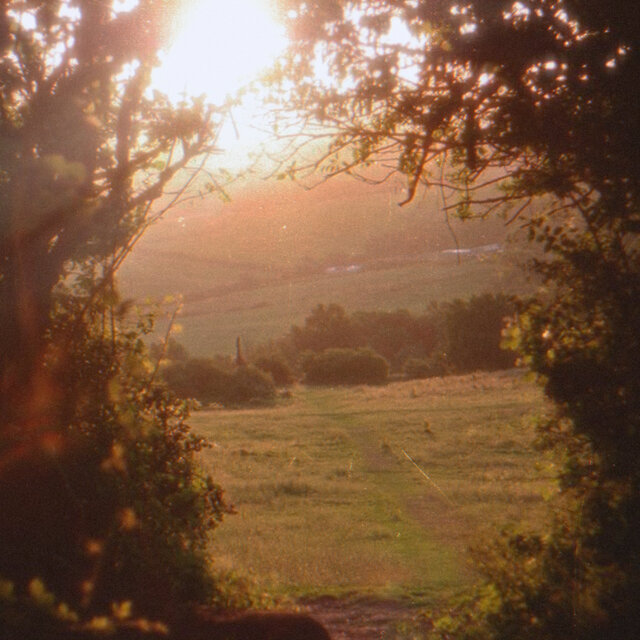 reverie