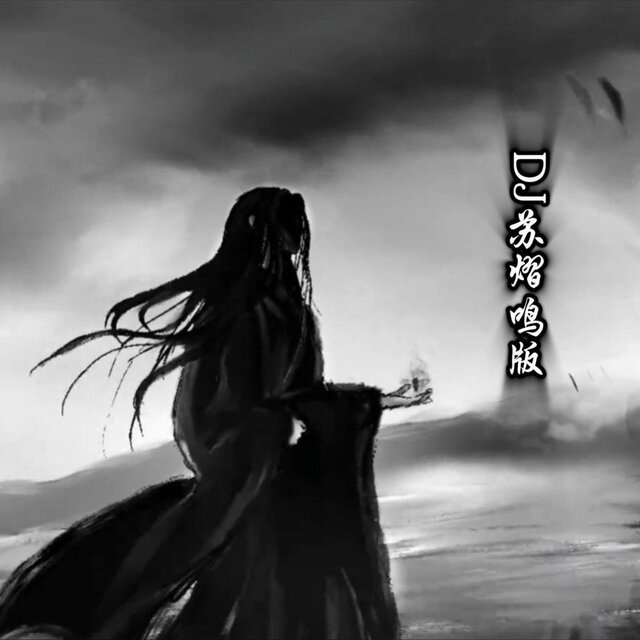 青丝 (DJ苏熠鸣版)