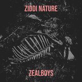 Ziddi Nature