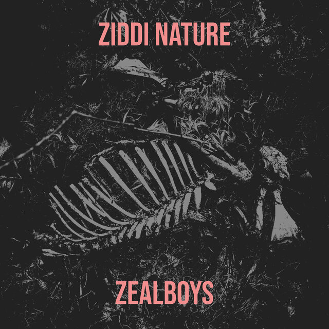 Ziddi Nature