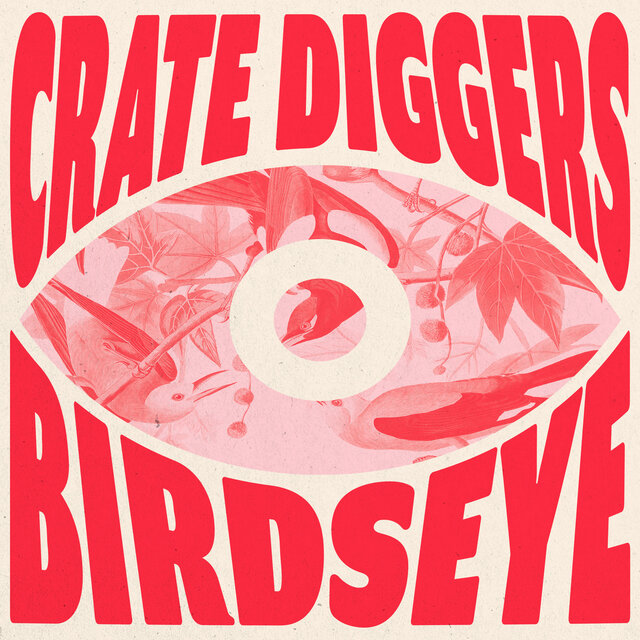 Birdseye