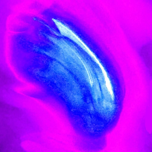 SPIRIT.