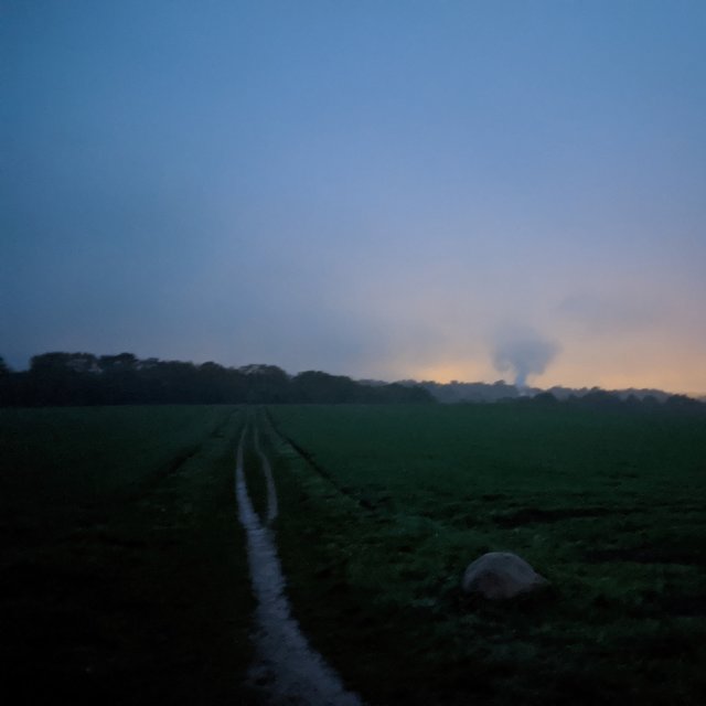 Walking