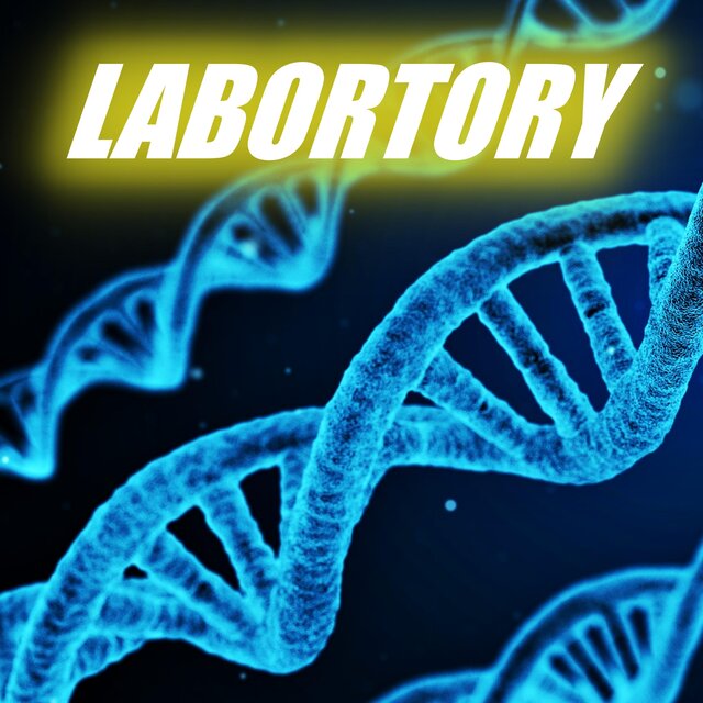 Labortory (feat. Bunks Chek & Jag Boss)