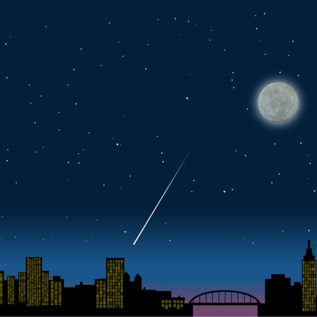 Starry Nights