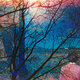 Cover art for album Idlewild by Idlewild