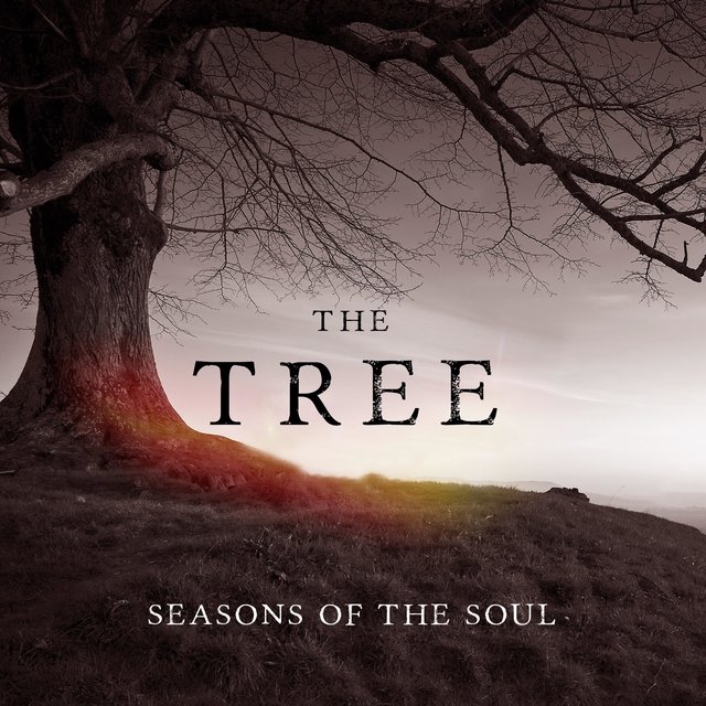 The Tree