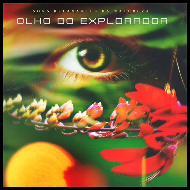 Olho do explorador