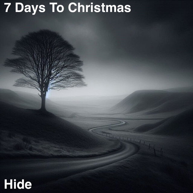 Hide