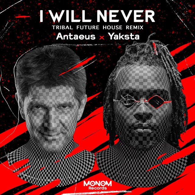 I Will Never (Tribal Future House Remix)