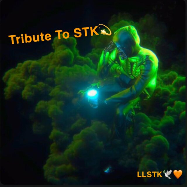 Tribute To STK