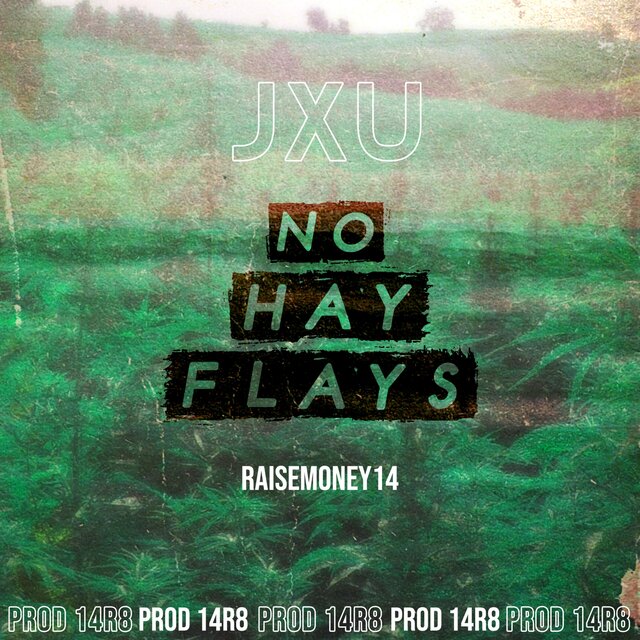 No Hay Flys (feat. Jxu)