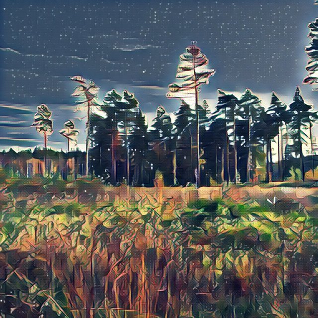 SPACE DREAMS