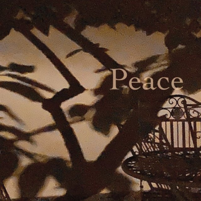 Peace
Corinna Reich, Nesin Howhannesijan