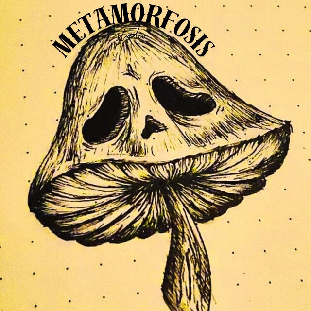 METAMORFOSIS