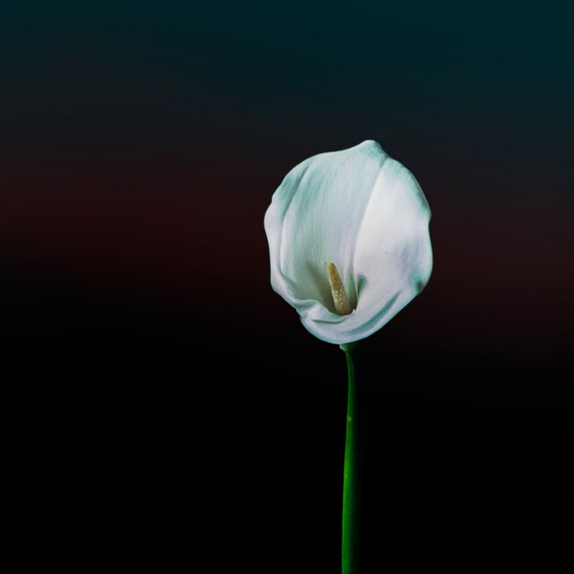 A Requiem