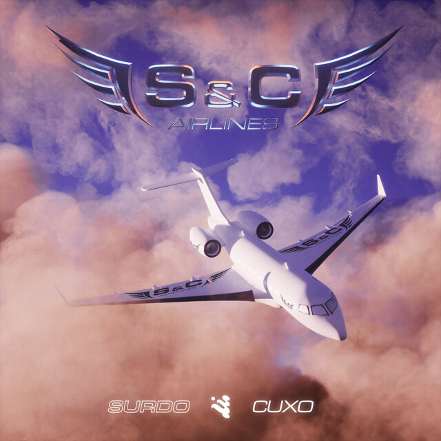 S&C Airlines