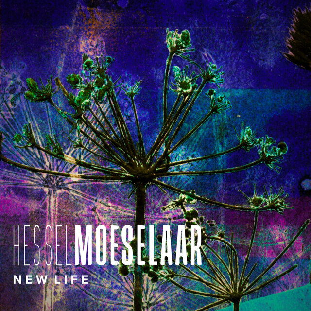 New Life