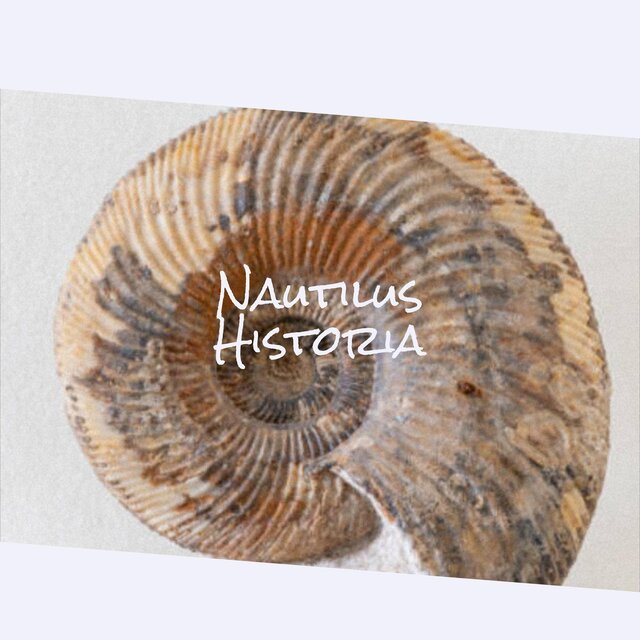 Nautilus Historia