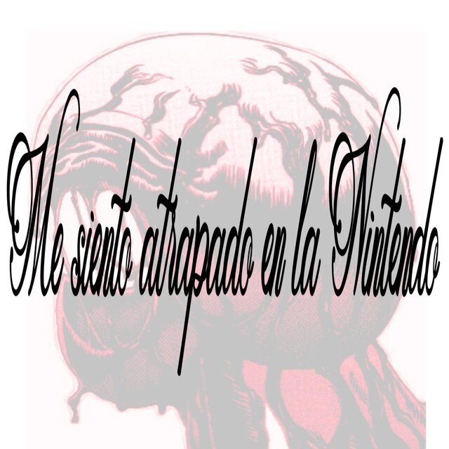 M.S.A.N