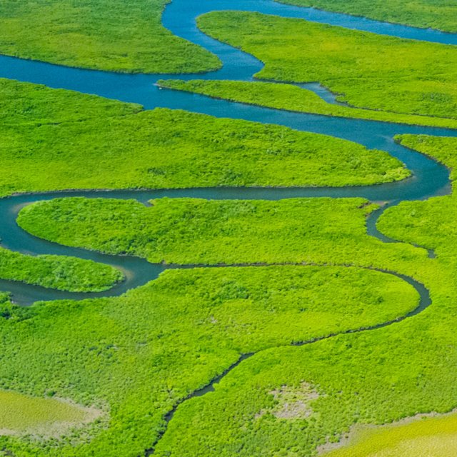 Tributaries Vol. I