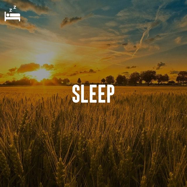 Sleep