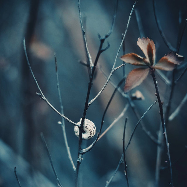 Ambient Works (From Days Now Gone)