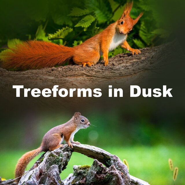 Treeforms in Dusk