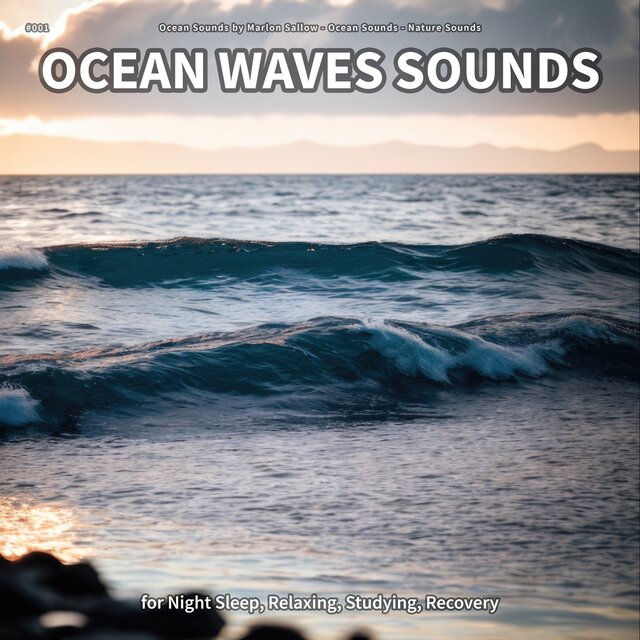 #001 Ocean Waves Sounds for Night Sleep, Relaxing, Studying, Recovery