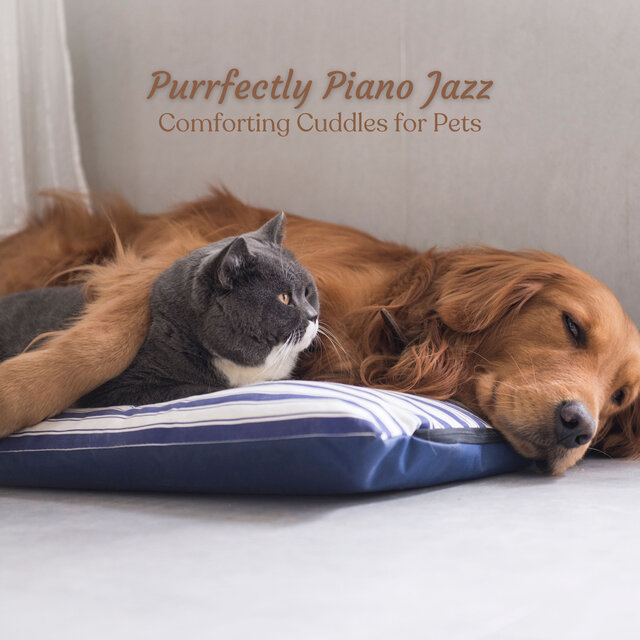 Purrfectly Piano Jazz: Comforting Cuddles for Pets