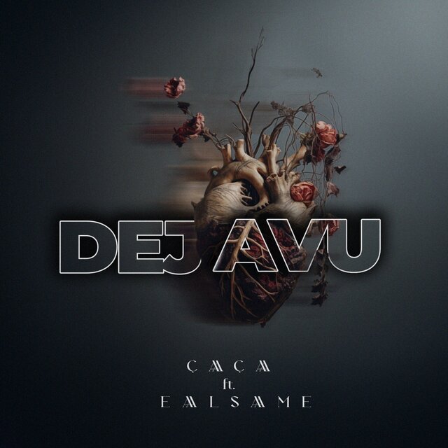 DEJAVU