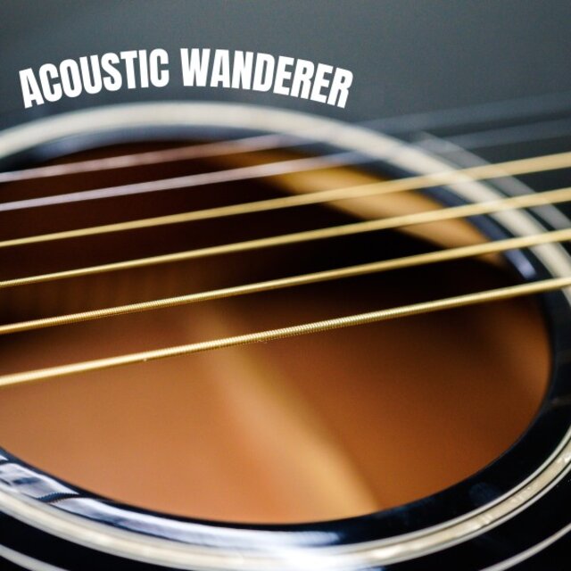 Acoustic Wanderer