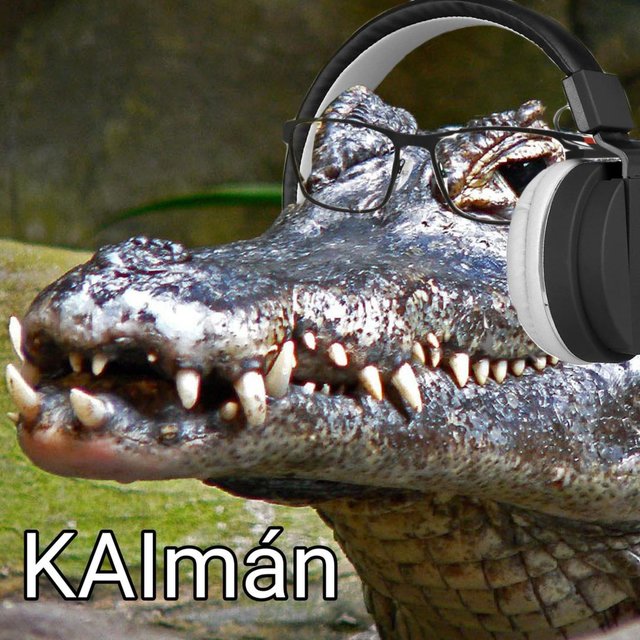 Kaimán