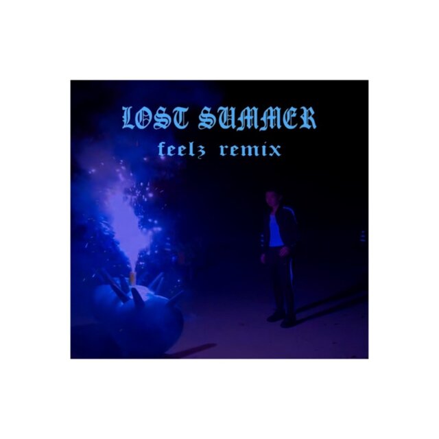 lost summer (feelz remix)